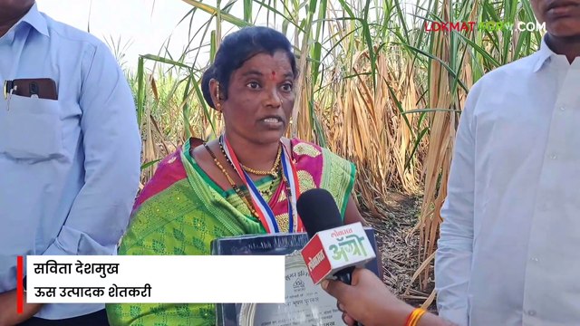 खोडवा ऊसाचं एकरात ९० टन उत्पादन कसं घेतलं? कसं केलं नियोजन?