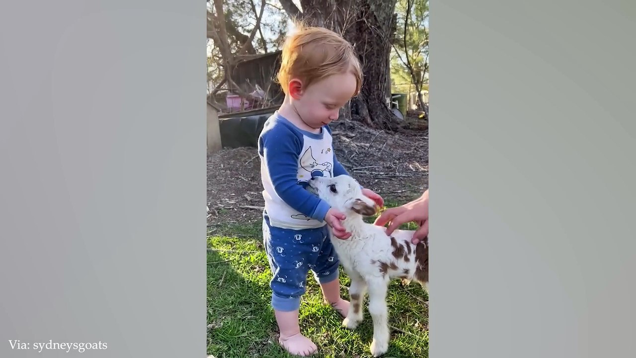 Animals are the best companions of child