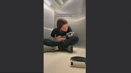 Fue devuelta por ser demasiado miedosa pero acaba siendo la perra más querida