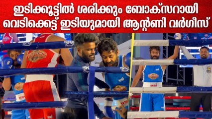 നല്ല കിന്റൽ ഇടിയുമായി ശരിക്കും ബോക്സറായി ആന്റണി വർഗീസ്