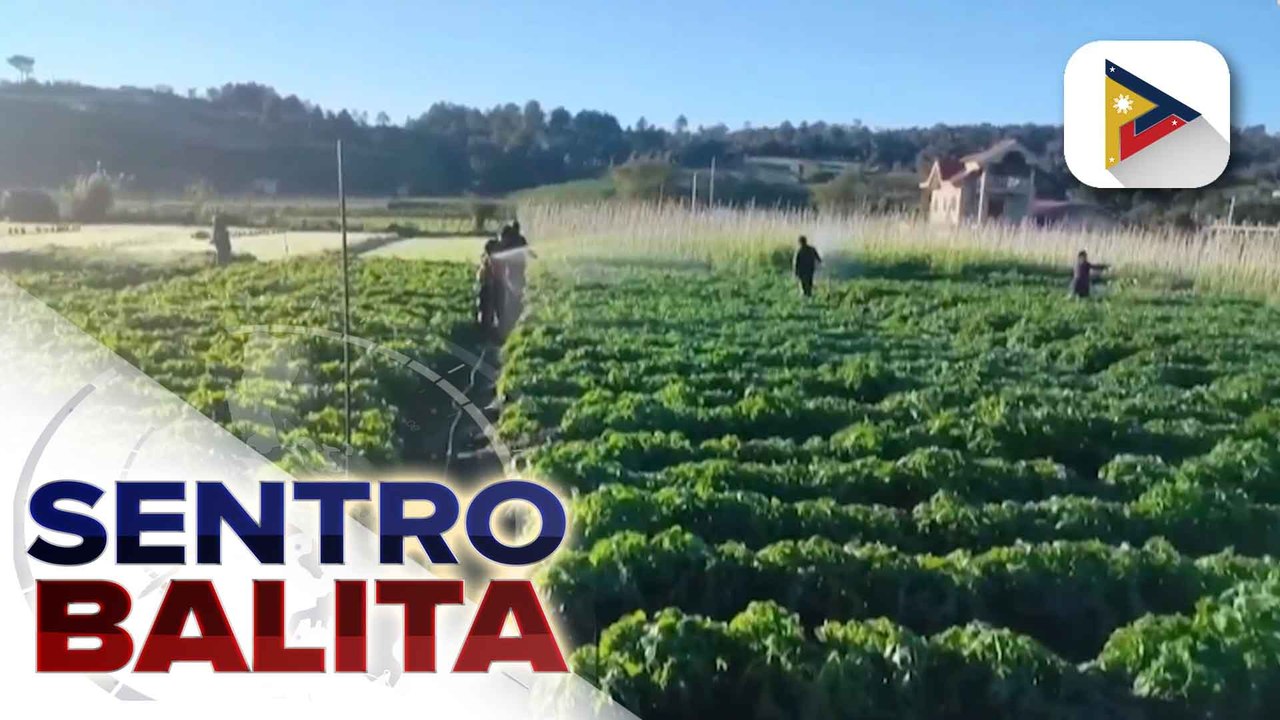 Ilang taniman sa Benguet, apektado na ng Andap o Frost