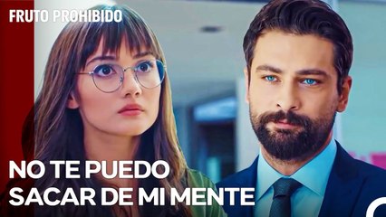 Hemos Luchado por Este Amor - Fruto Prohibido