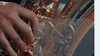 A Brief Introduction About Kiran Flemish