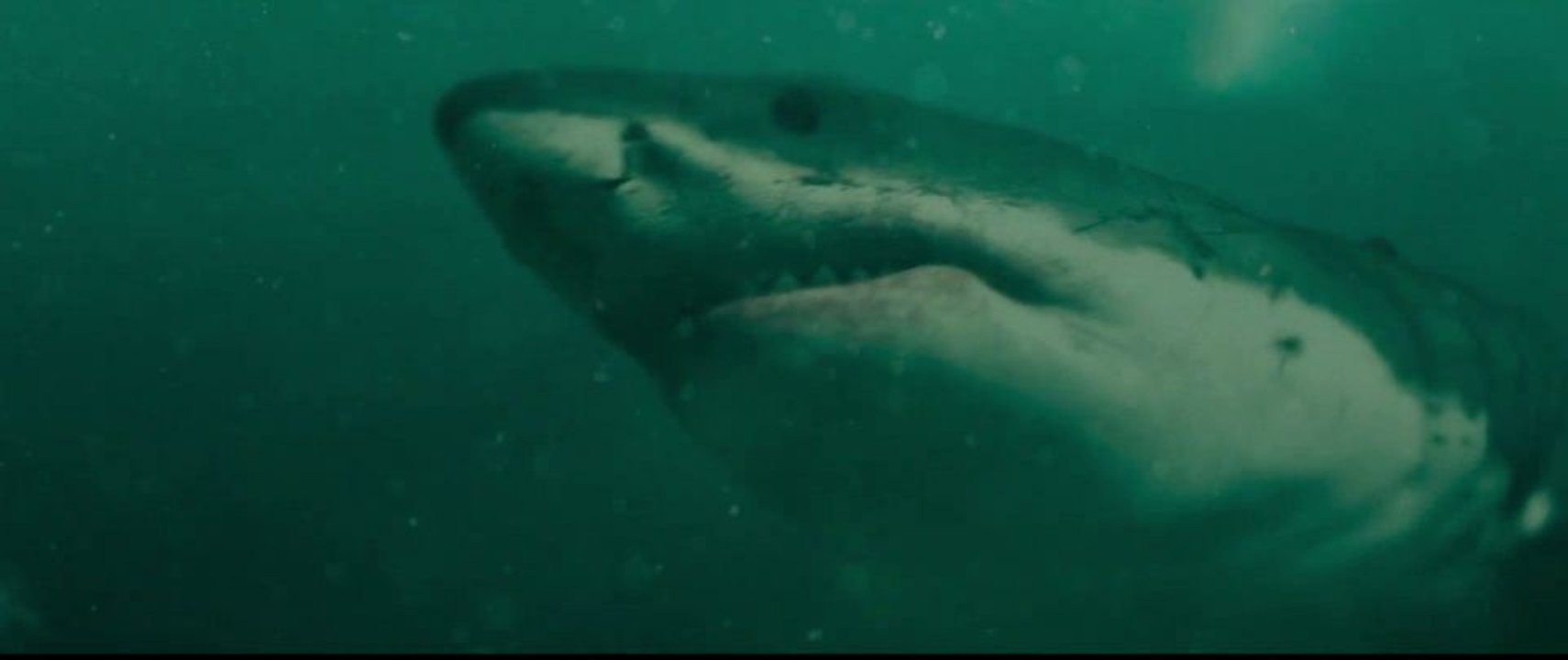 Into the Deep Trailer DF