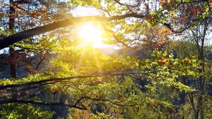 Wichtel-Motivation am Morgen: Fit durch Bewegung