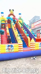 Big Slide Bouncy Inflatable