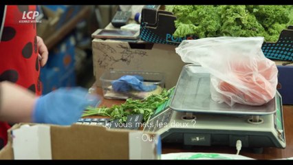 La liberté ne meurt jamais, chroniques ukrainiennes