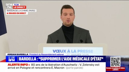 Budget: "J'appelle à supprimer l'Aide médicale d'État", explique Jordan Bardella (RN)