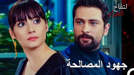 ثنائينا المفضل والمثالي واضح: علي هان وزينب - التفاح الحرام الحلقة ال 84