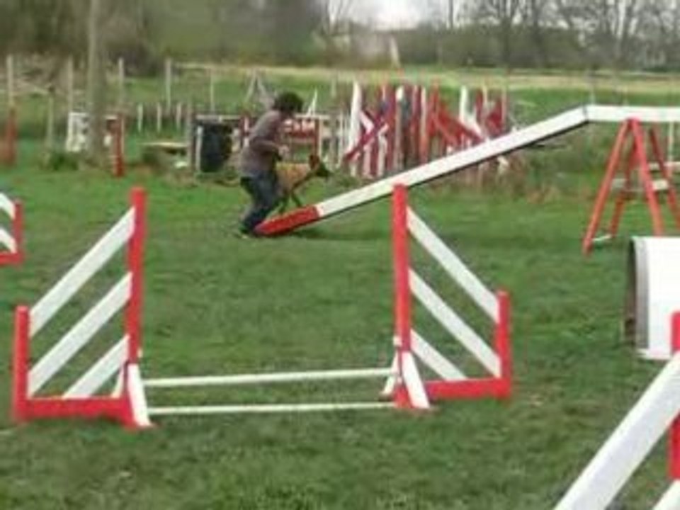 MVI_4784