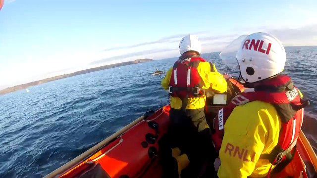 Amazing footage as dolphins swim with lifeboat off Cornwall