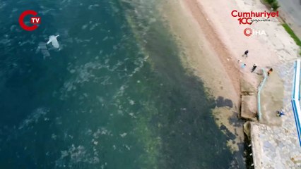 Adalar’daki müsilaj tehdidi böyle görüntülendi