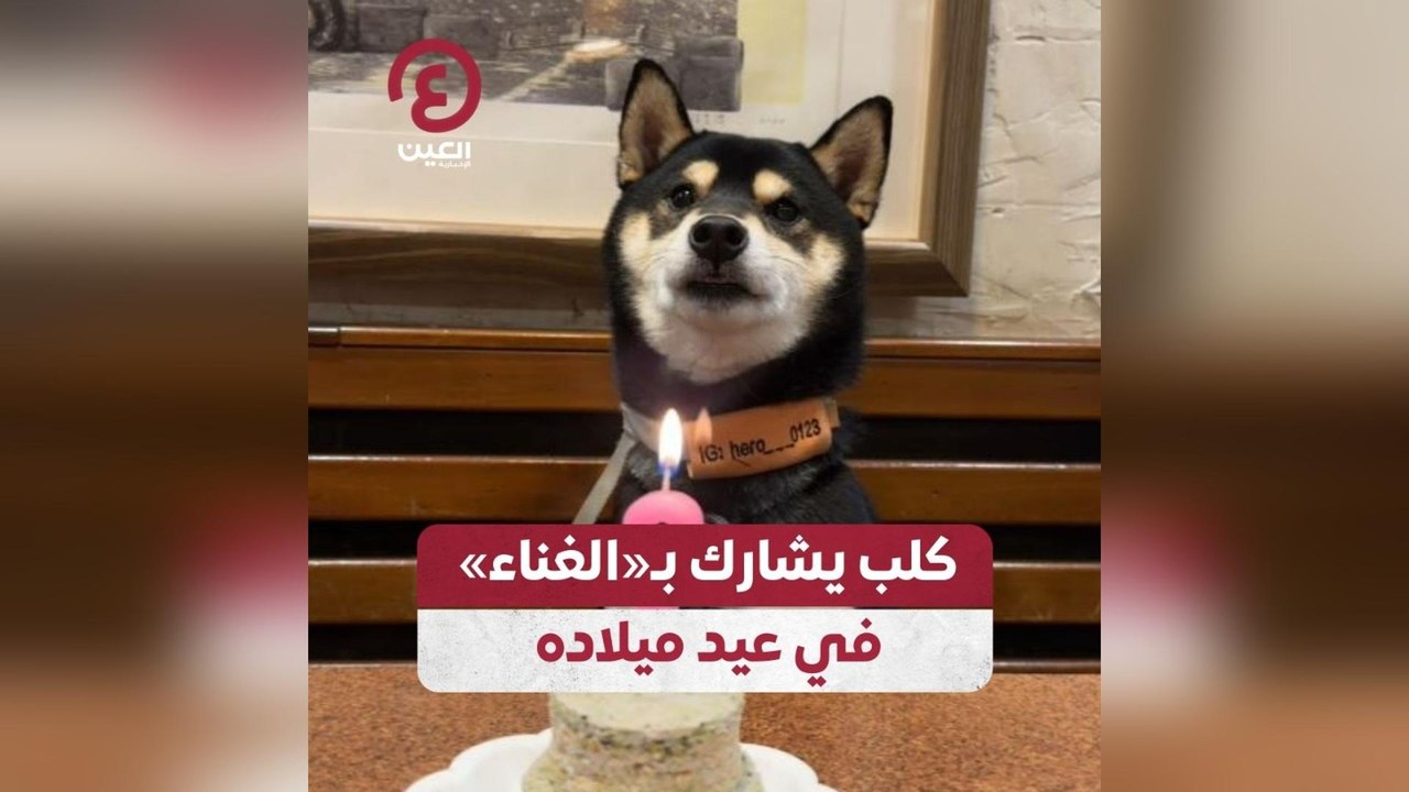 كلب يشارك بـ"الغناء" في عيد ميلاده