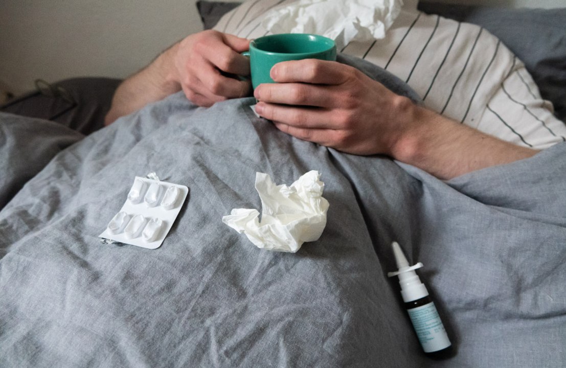 Married couples and dog walkers are more at risk of catching colds