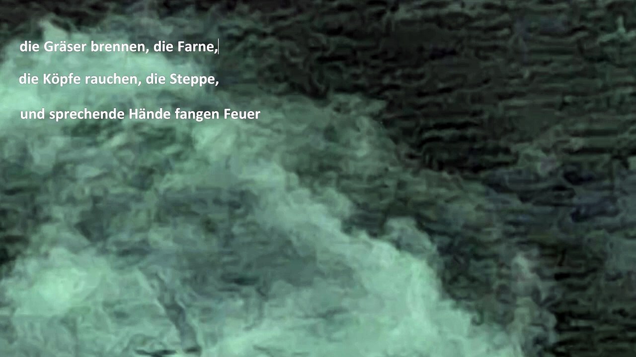 neulich beim Dornbusch