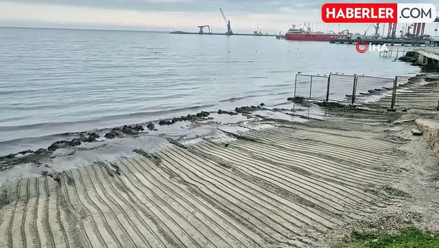 Tekirdağ Kıyılarında Kızıl Yosun Sorunu