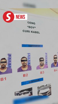 Yes boy, you're busted: 'Geng Boy' cable thieves nabbed in JB