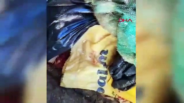 Sokak Hayvanları Barınağı’nda skandal olay: 4 köpek yavrusu çöp konteynerinde poşet içinde bulundu