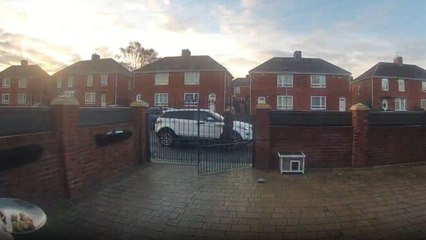 Cat’s wild escape after slippery mishap on icy driveway creates hilarious chaos