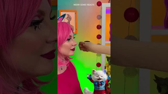 A Dog Sock Showdown 😹🧦 A story about Snacks VS Socks ✨