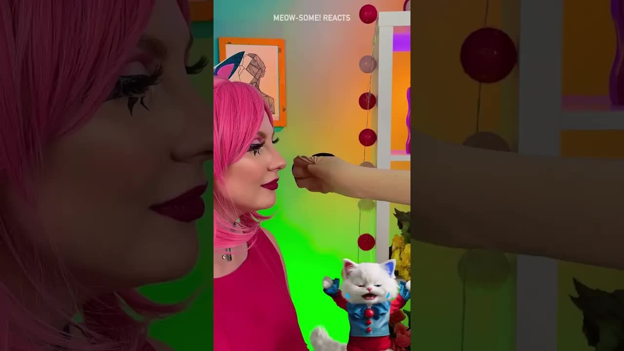 A Dog Sock Showdown 😹🧦 A story about Snacks VS Socks ✨