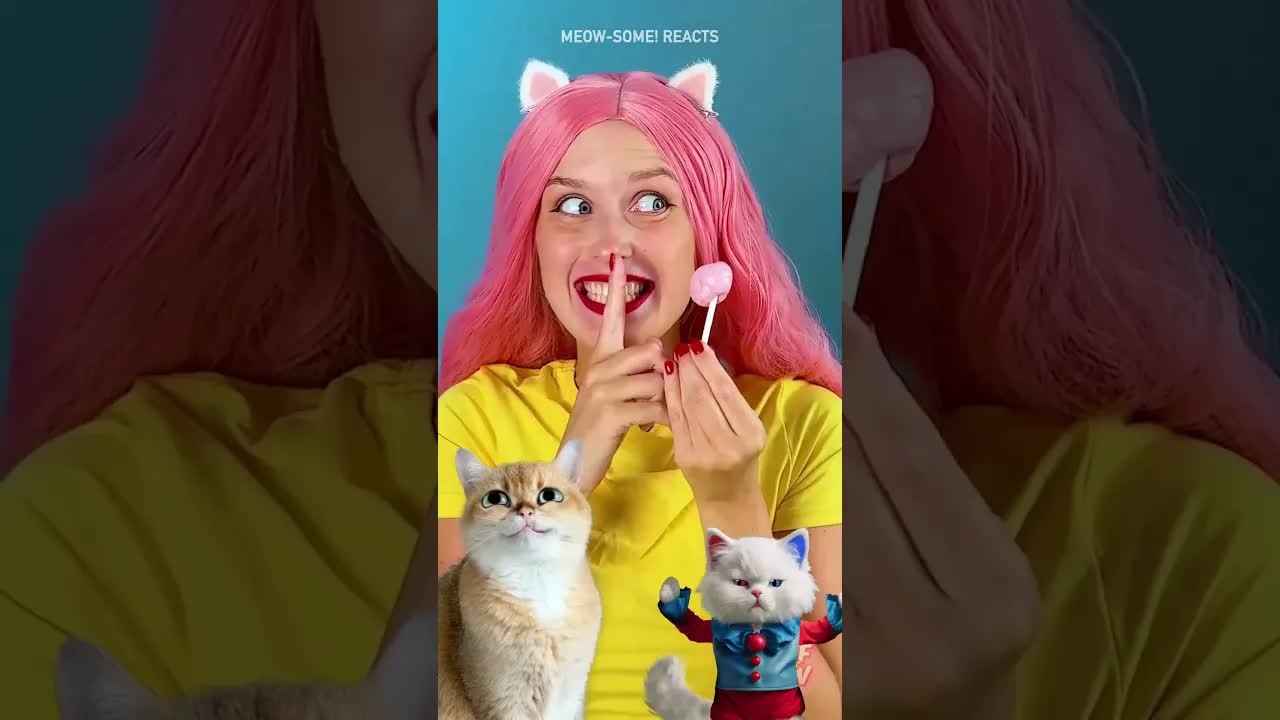 Cute Cats React to the Chewing Gum Prank ! 😹😹😹