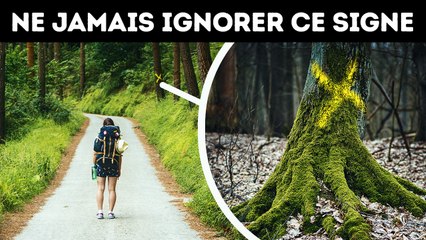 100+ Conseils de Survie pour Faire Face aux Pires Situations