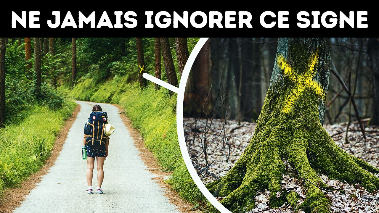 100+ Conseils de Survie pour Faire Face aux Pires Situations