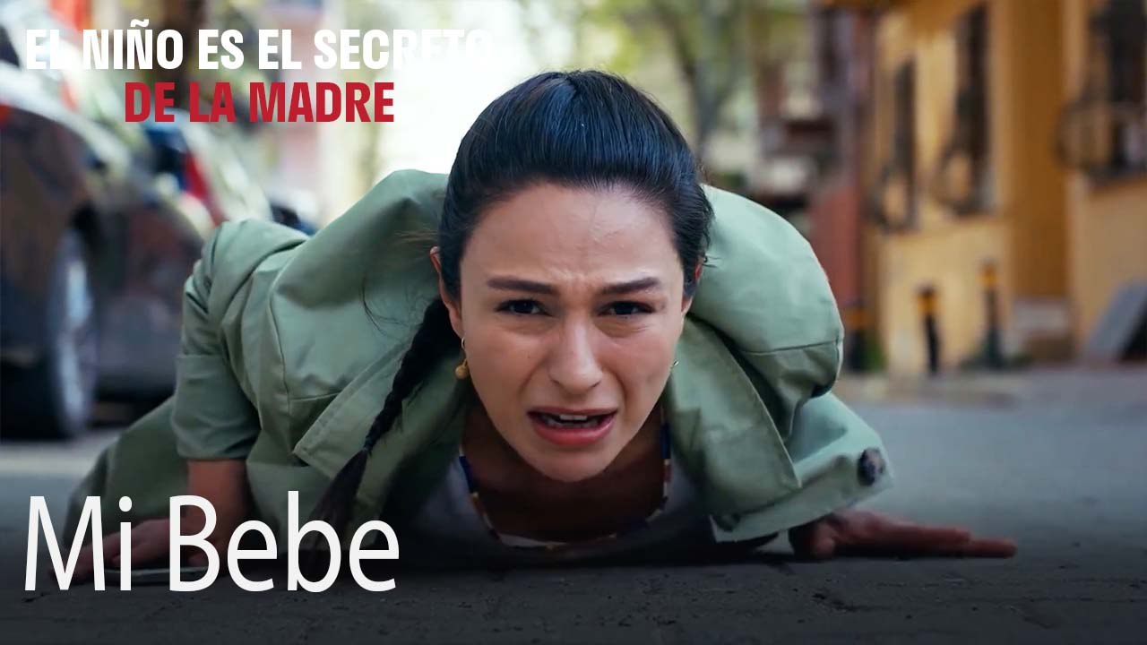 Mi Bebe