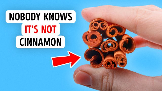 Food Facts That Will Level Up Your Inner Foodie