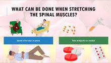 What can be done when stretching the spinal muscles?