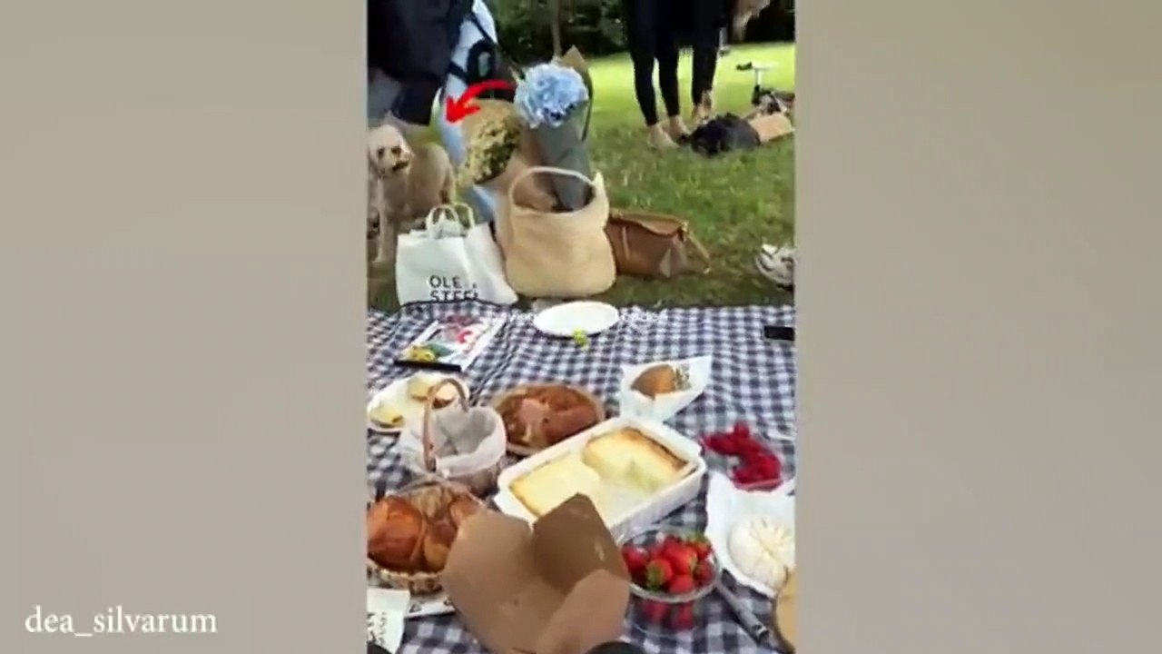 Funniest Animal Video 😍
