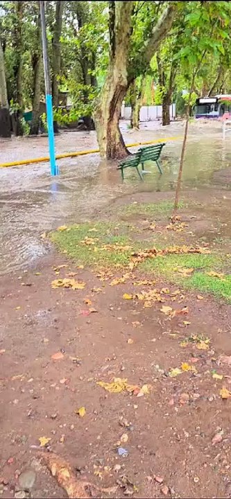 Maipú
