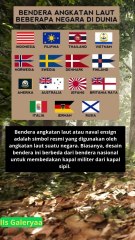 Bendera angkatan laut beberapa negara di dunia mana pilihan mu