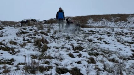 Hiking in snow leads to a friend rolling down the hill in laughter
