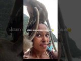 Monkey Unexpectedly Pees On Woman's Head As She Records Selfie With It