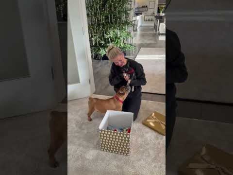 Woman Breaks Down in Tears After Receiving New Dog as Christmas Gift From Husband