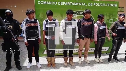 aprehendidos por peleas clandestinas