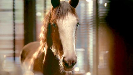 Budweiser "First Delivery" Extended Super Bowl 2025 Commercial