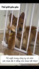 Waiting for the rainy day to end