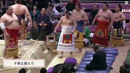 Hatsu 2025, Juryo - Day 14