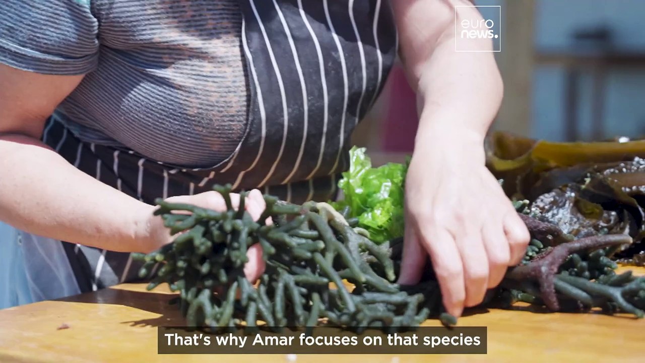 Watch: An Argentinian restaurateur serves up sustainable dining