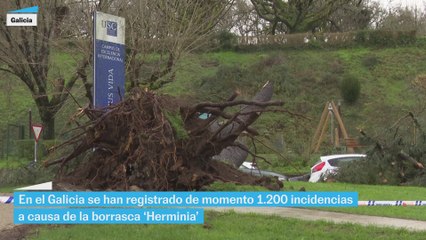 La borrasca Herminia azota España