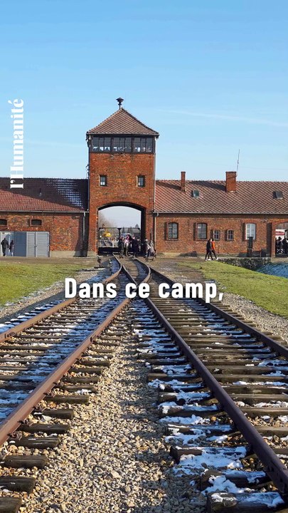 80 ans de libération des camps nazis, les rescapés témoignent