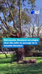 Inondations en Ille-et-Vilaine : grâce à son appel à l'aide sur "ici Armorique", Roselyne a pu sortir de chez elle