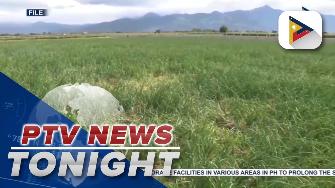 D.A. eyes to establish 99 cold storage facilities in various areas of PH to prolong shelf life of agri products