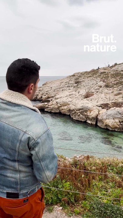 Dépollution de 29 hectares du parc national des Calanques