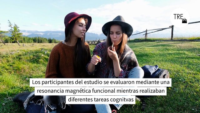 Este es el estudio más grande sobre consumo de cannabis hasta la fecha. Así es cómo su consumo afecta en el cerebro y en la memoria