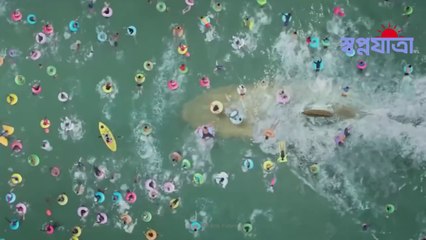 Megalodon The Lost Sea Monster | কিভাবে হারিয়ে গেল সমুদ্রের দৈত্য মেগালোডন | Sopno Jatra