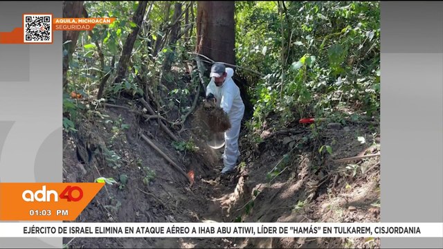 Hallan restos humanos en fosa clandestina en Aquila, Michoacán